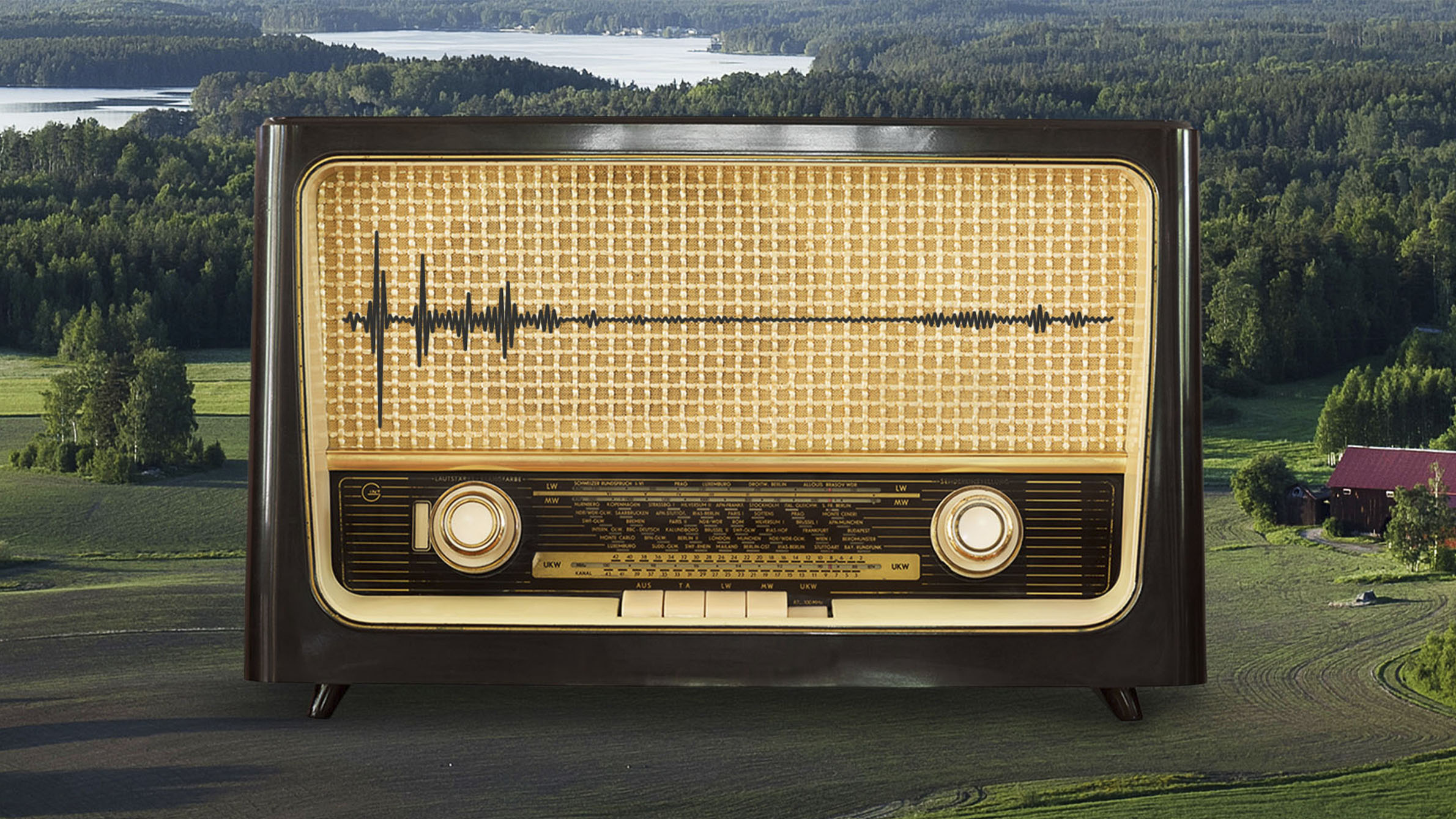 Gammal radio till Panangs kundcase placerad i naturlandskap formgiven av Angelica Skodborg